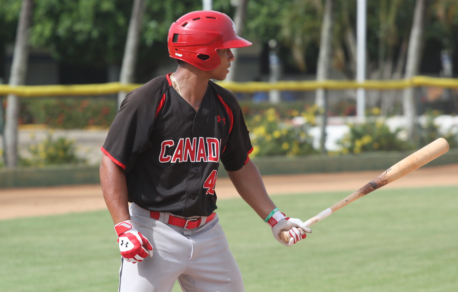 Baseball Canada MLB Draft Twentyfive Canadians selected in 2016 MLB