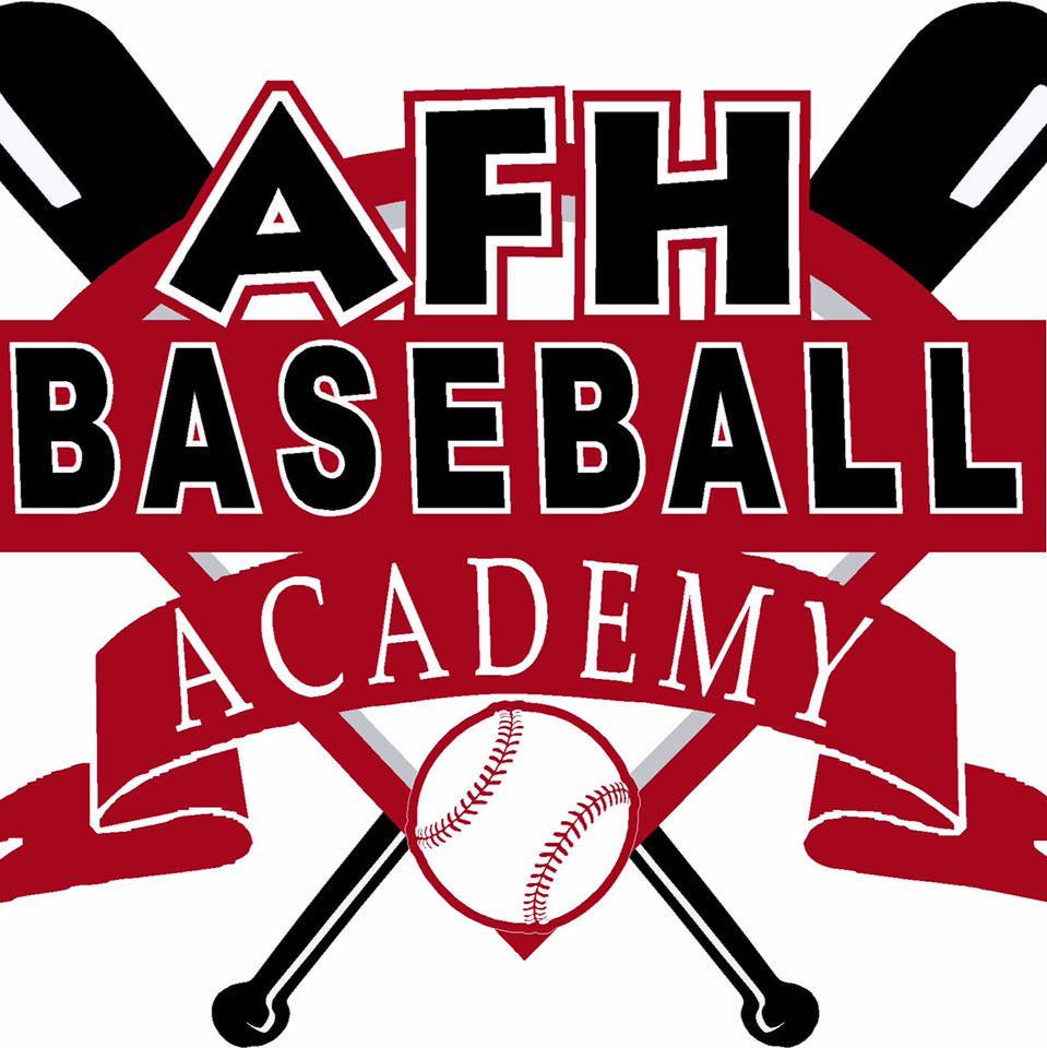 Harrison Wenson Baseball Trainer AFH Baseball Academy in Detroit