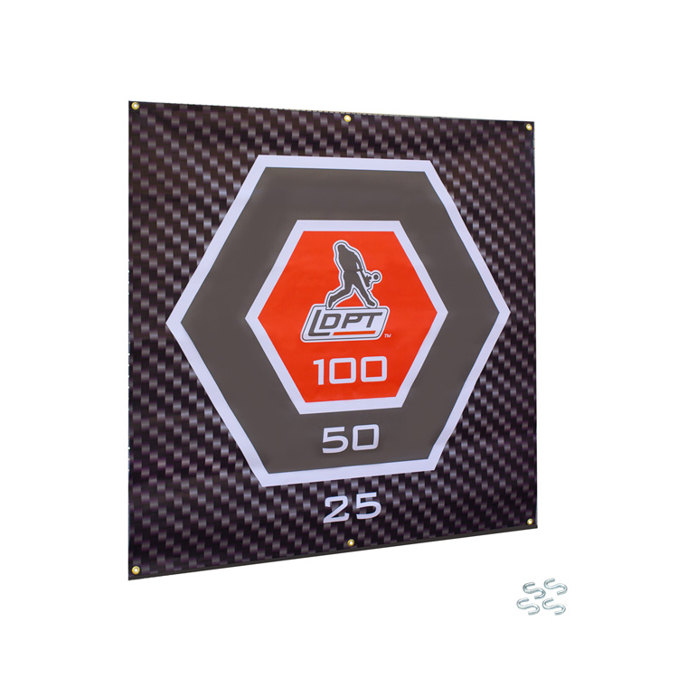 Baseball Hitting Net Target Swing Trainer LineDrivePro Trainer