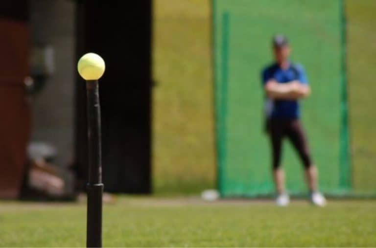 10 Best Batting Tee In 2022 (Reviews & Buying Guide)