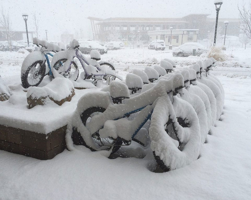 the fatbike fleet, happy in fresh pow! basecampfrisco