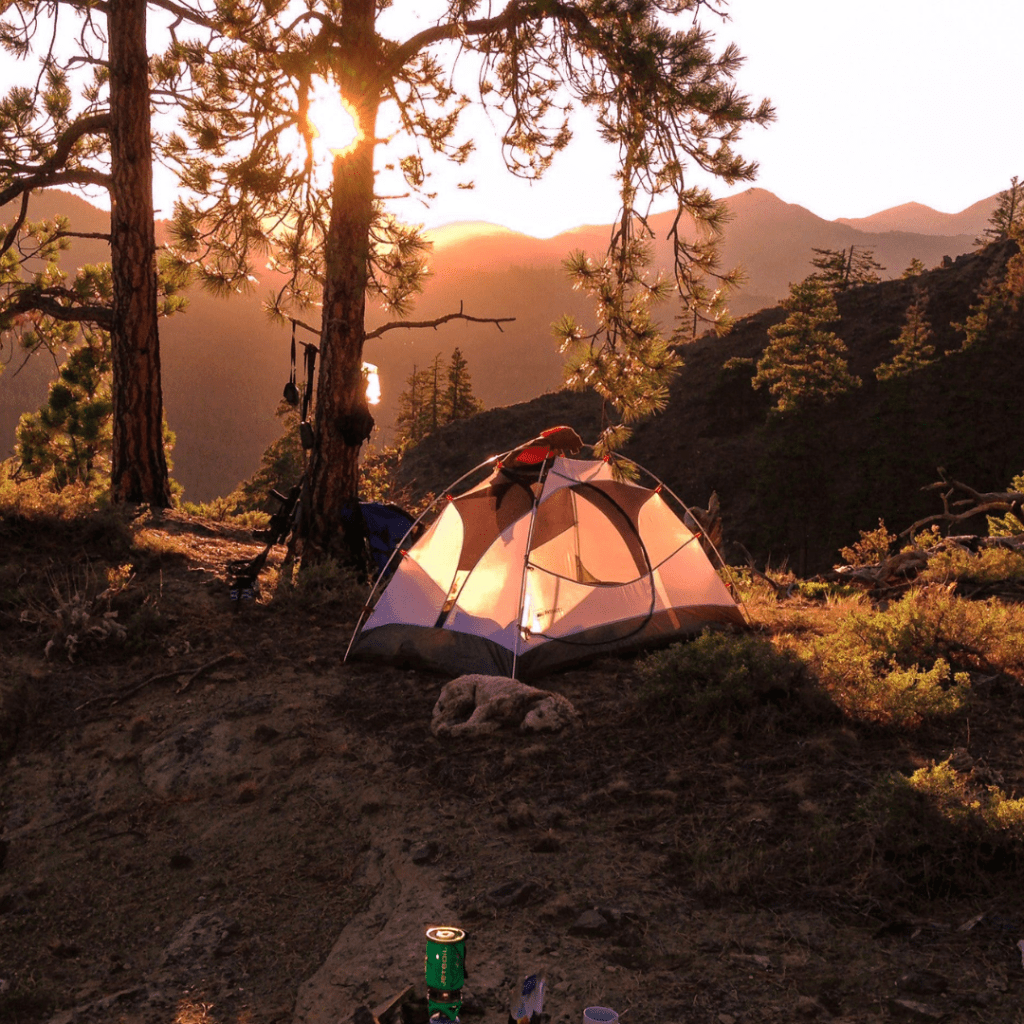 3 Family Tips When Visiting Powell, Wyoming Basecamp Expert / Rocky