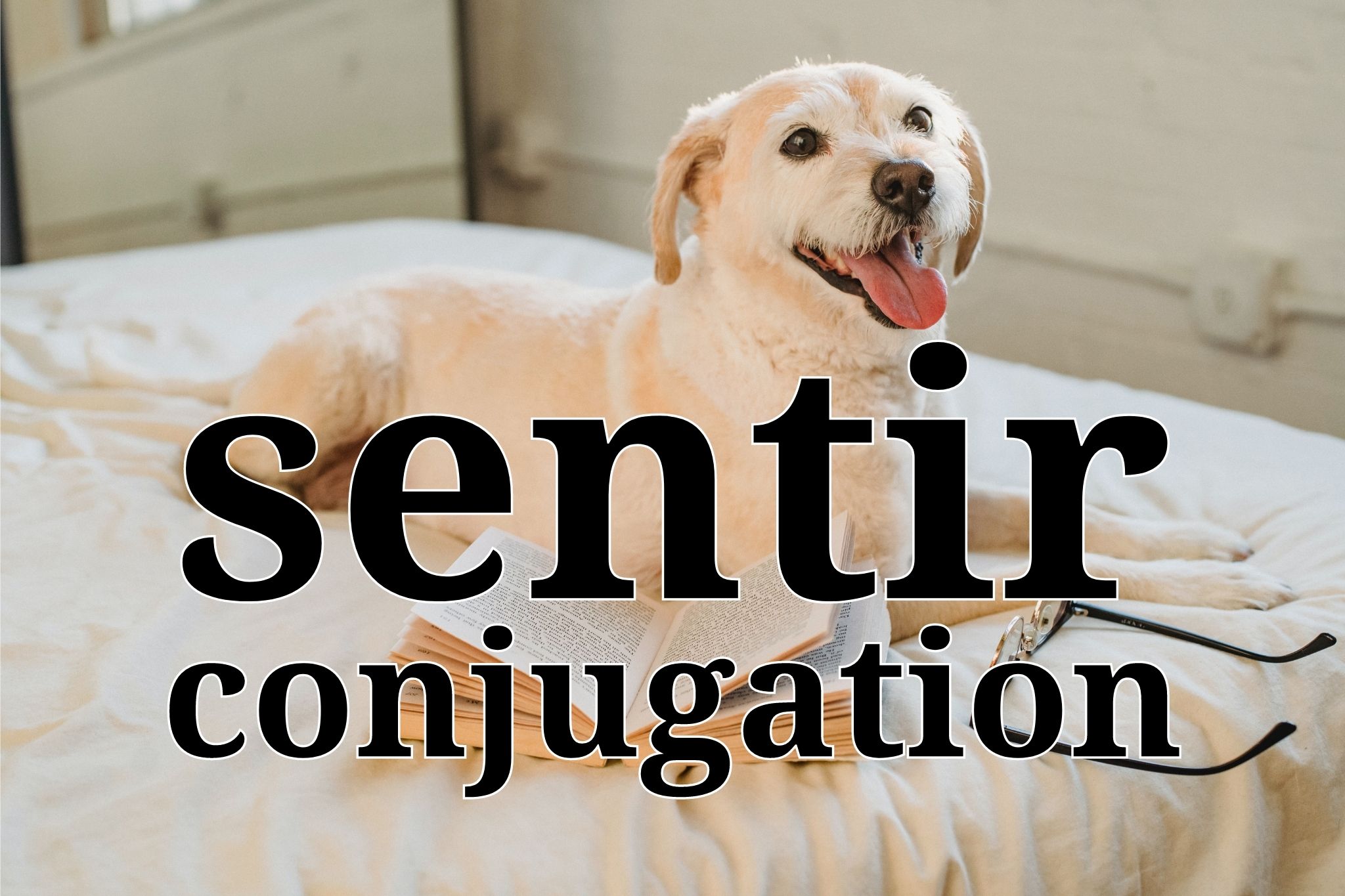Sentir Conjugation in Spanish Every tense, with examples