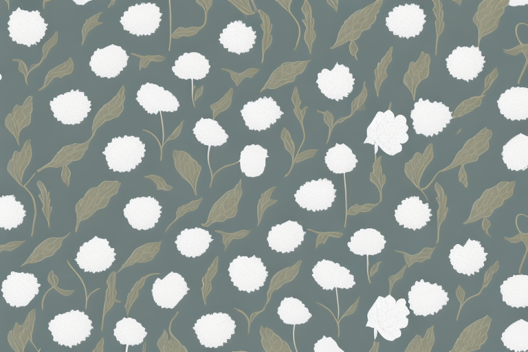 Why is pima cotton better? Bases Ready