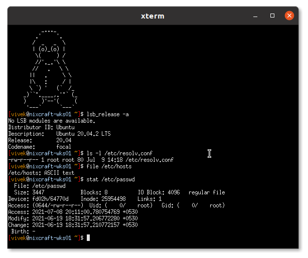 TERM variable Linux Bash Shell Scripting Tutorial Wiki