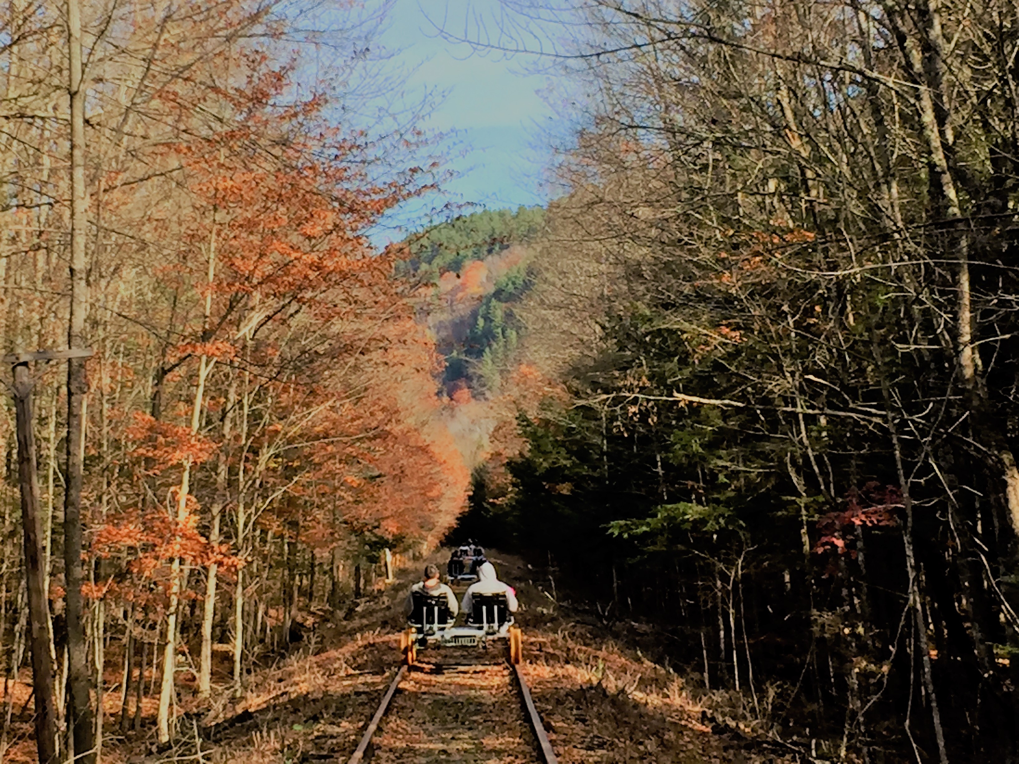 Rail Biking near Lake