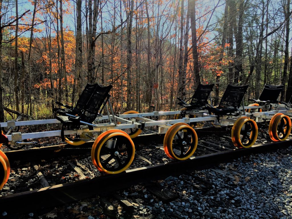 Rail Biking near Lake
