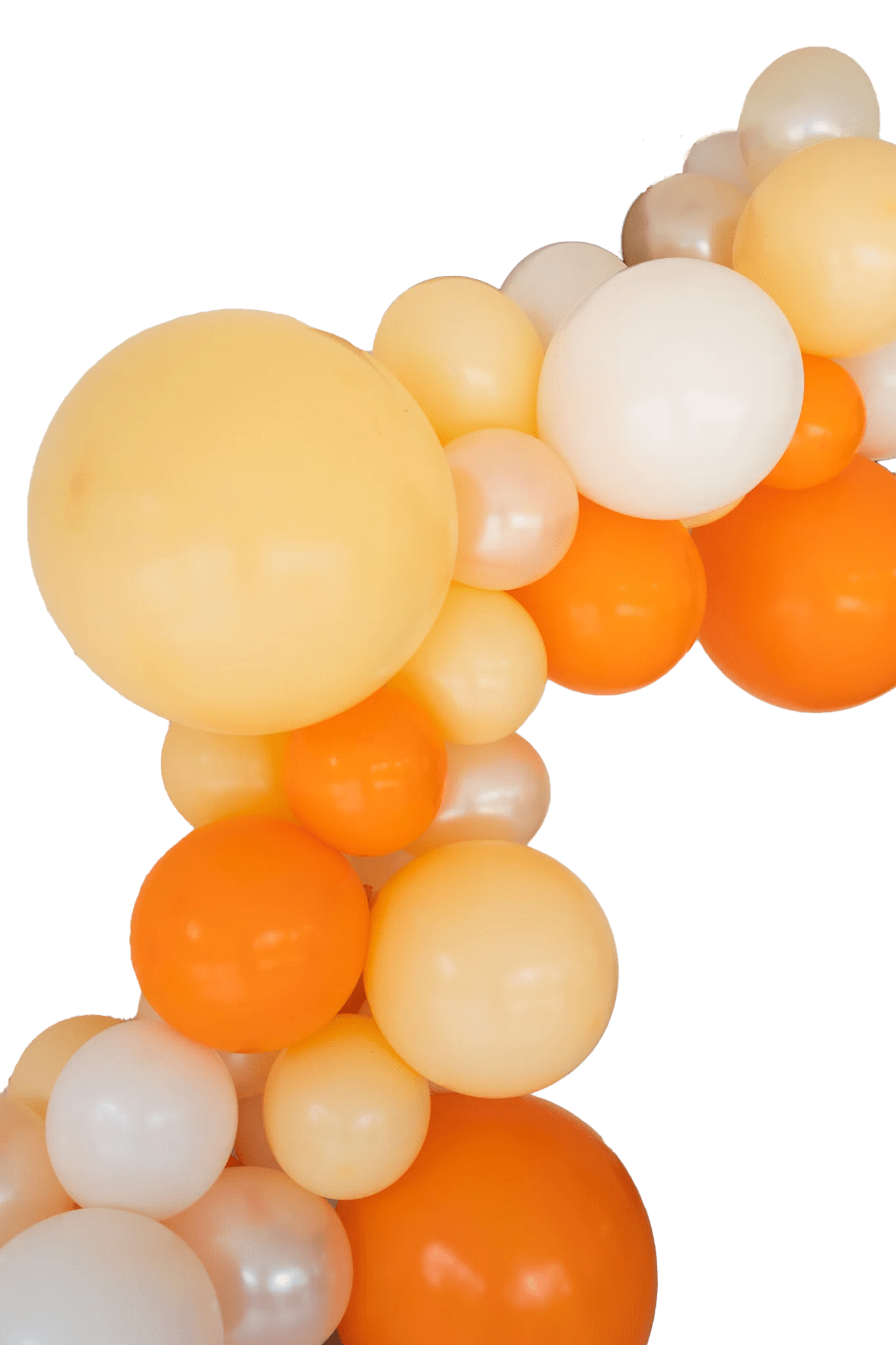 Kids' Parties Balloon Garland Kits Page 2 Bashify Event Co.