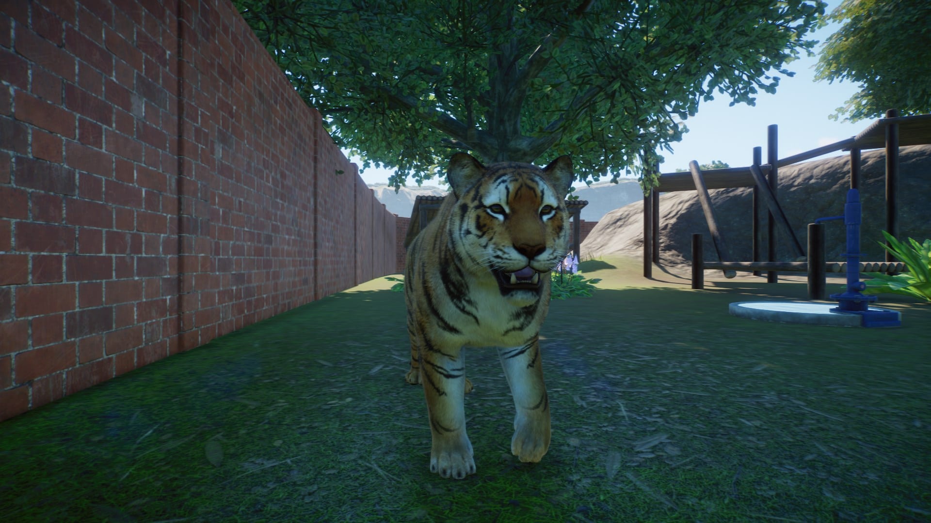 Zoo im Test Entdecke deine kreative Seite & erschaffe deinen