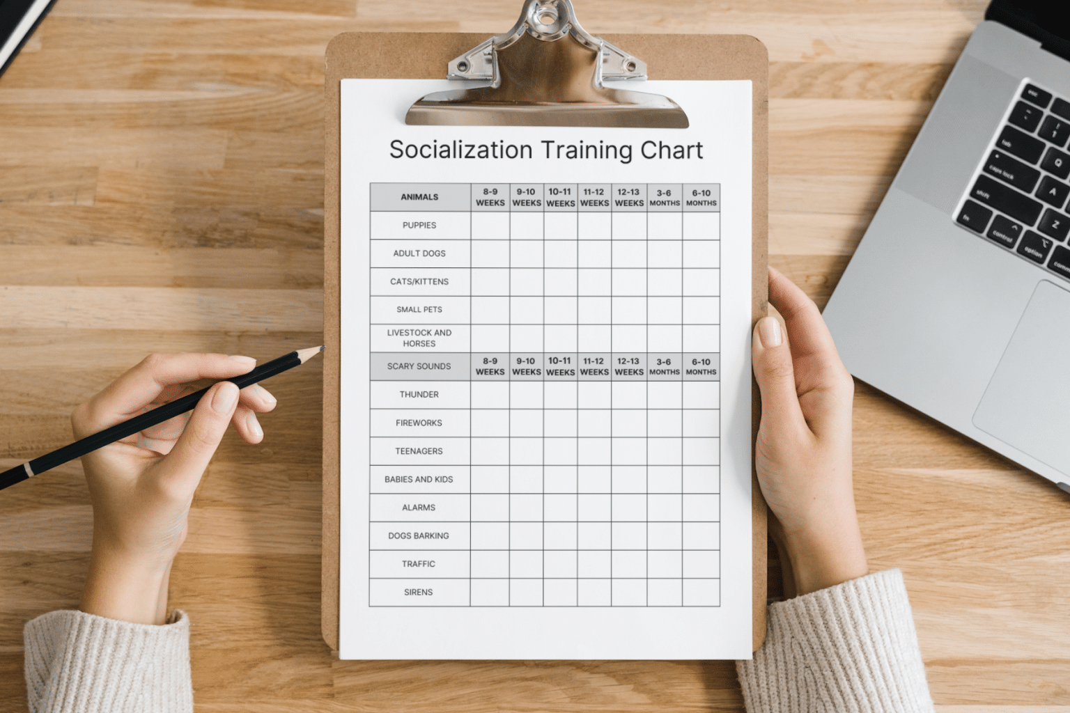 Free Printable Dog Training Plan Template to Download Basically Dogs