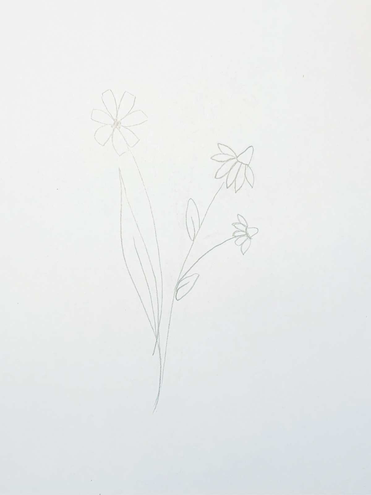 How to Draw Wildflowers Into A Bouquet