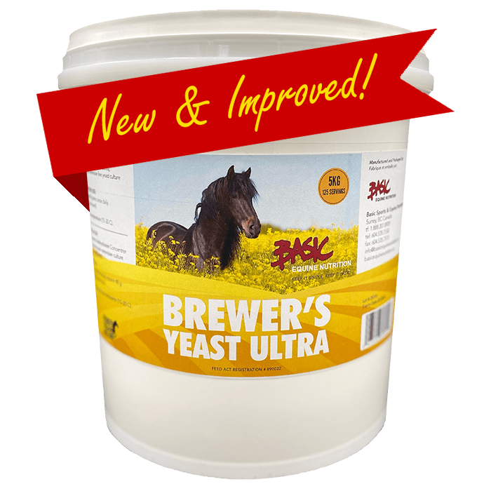 Brewer's Yeast Ultra Horse Supplement Basic Equine Nutrition