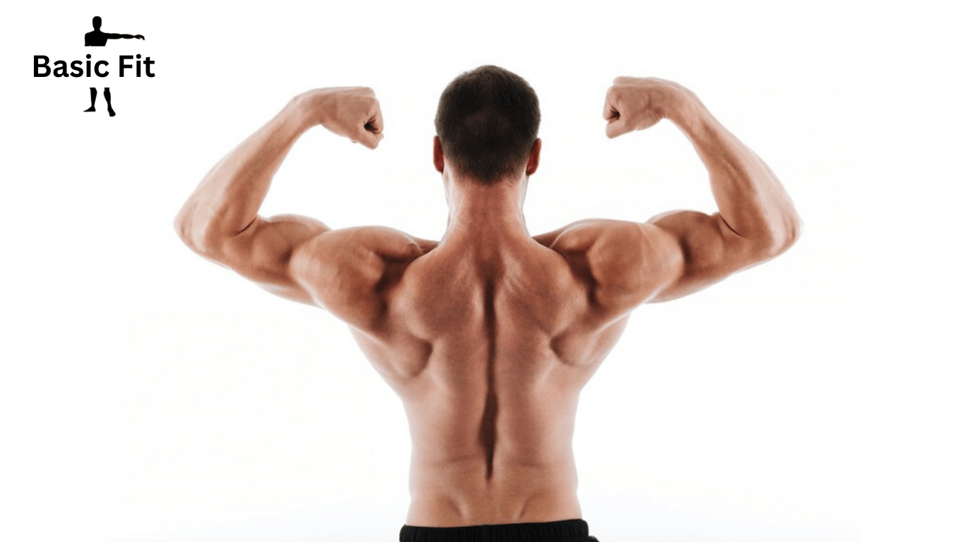 Top 6 Upper Body Exercises for Building Muscle Mass