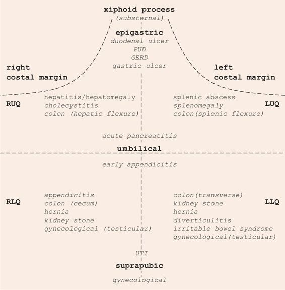 Left Upper Quadrant Pain Causes