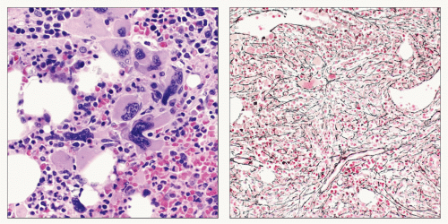 What Do All Those Medical Terms Mean Health Crowrivermedia Com What Do All Those Medical Terms Mean Health Crowrivermedia Com