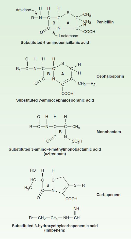 BetaLactam & Other Cell Wall & MembraneActive Antibiotics