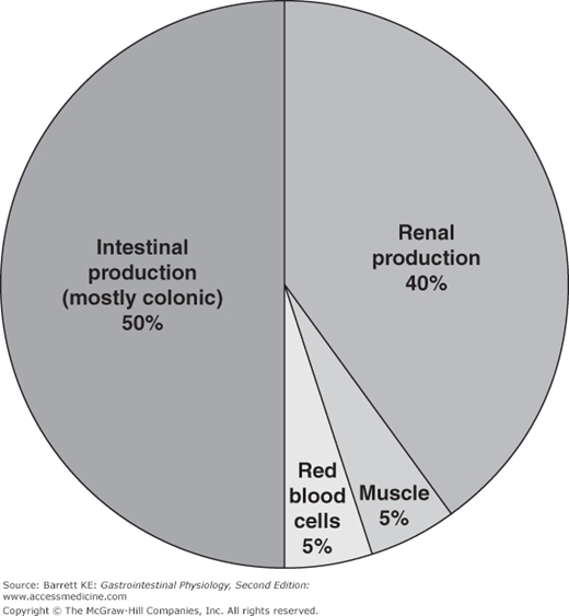 Ammonia and Urea Basicmedical Key