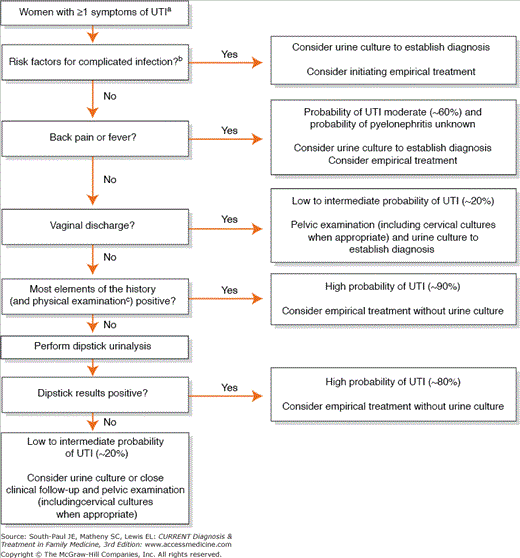 Urinary Tract Infections Basicmedical Key