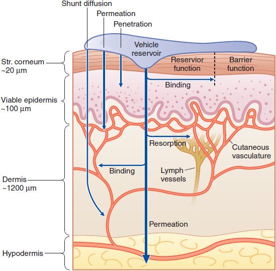Dermatological Pharmacology Basicmedical Key