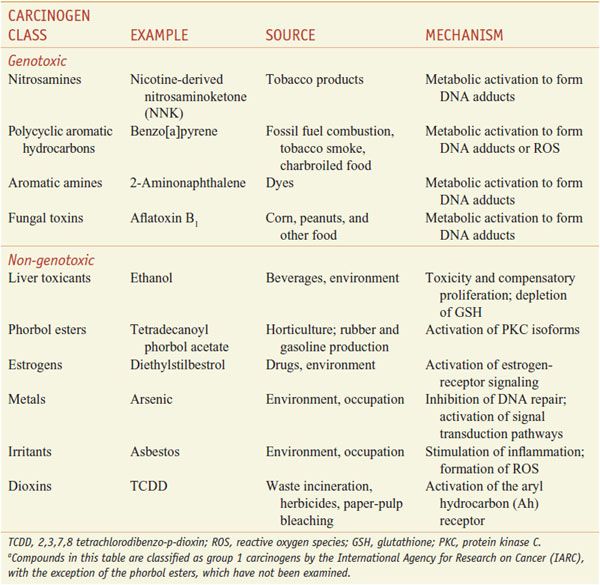 Environmental Toxicology Carcinogens and Heavy Metals Basicmedical Key