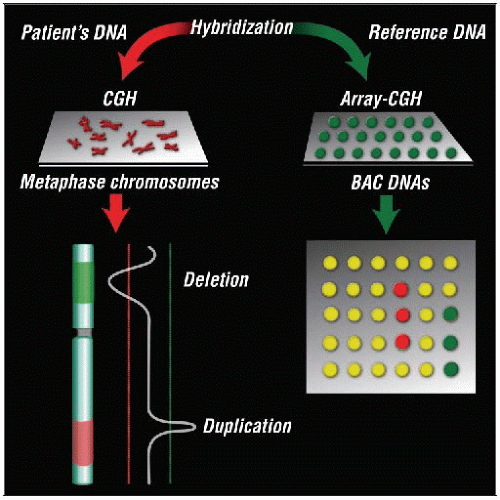 DNA Analysis Basicmedical Key