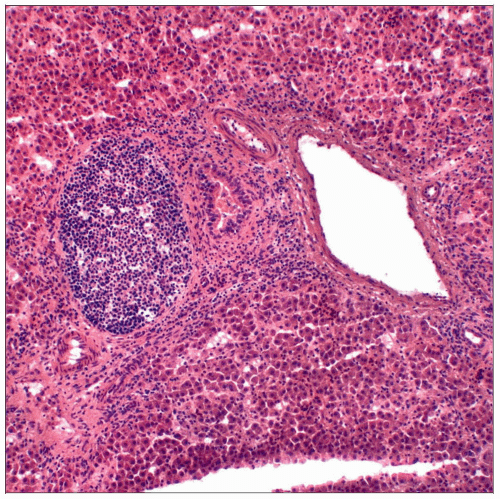 Frozen Section Basicmedical Key