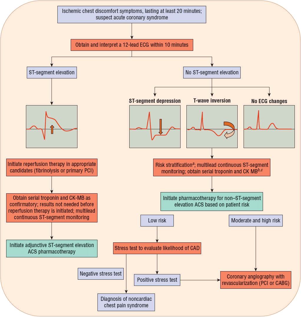 Acute Coronary Syndromes Basicmedical Key