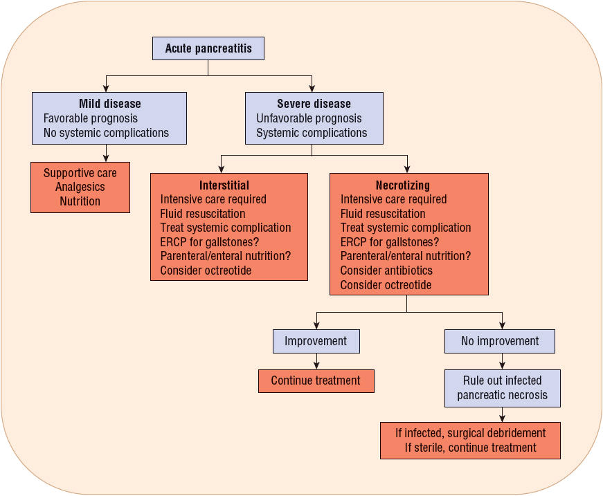 Pancreatitis Basicmedical Key
