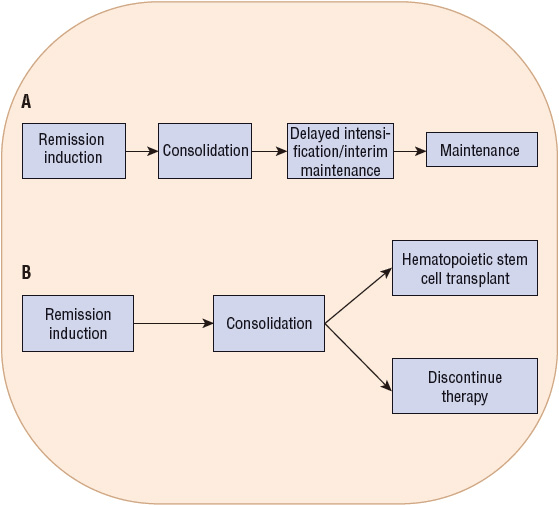 Acute Leukemias Basicmedical Key