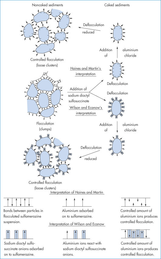 Explain the Differences Between Solutions Suspensions and Emulsions