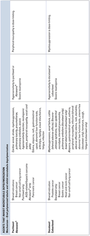 Pharmacology of Cancer: Genome Synthesis, Stability, and Maintenance ...