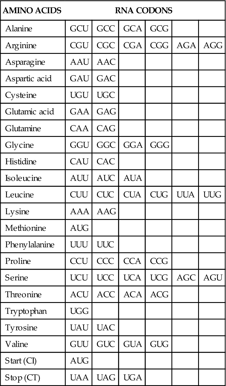 Genome Structure, Regulation, and Tissue Differentiation Basicmedical Key
