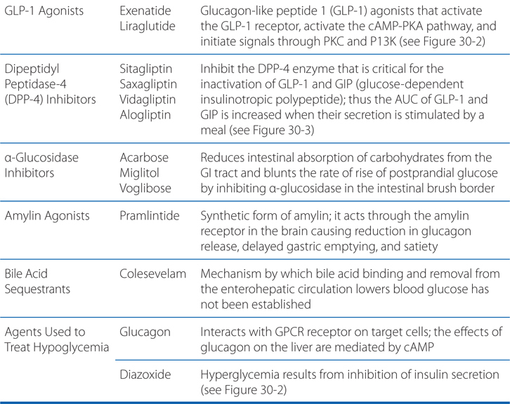 Endocrine Pancreas and Pharmacotherapy of Diabetes