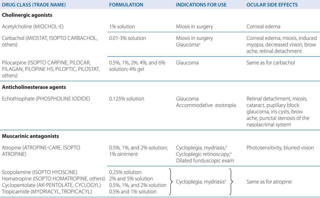 Ocular Pharmacology Basicmedical Key