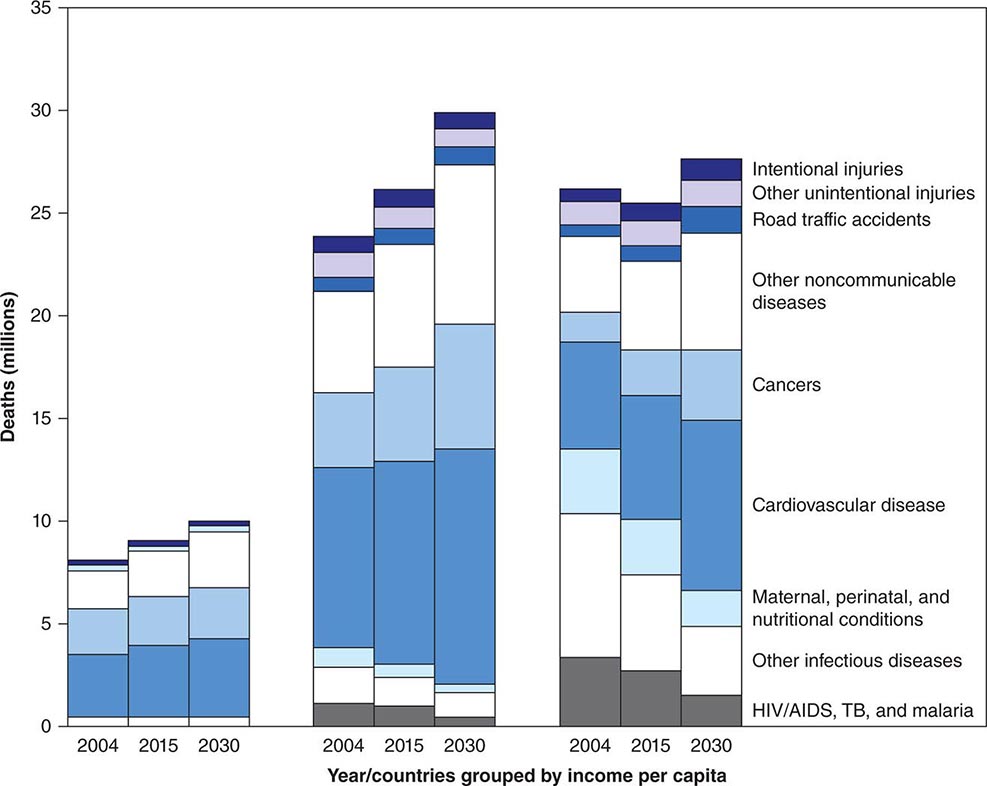 Primary Care in Low and Countries Basicmedical Key