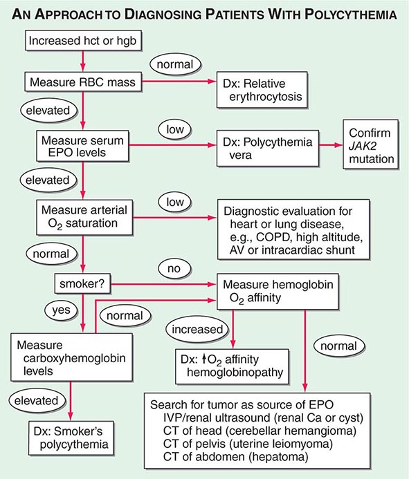 Anemia and Polycythemia Basicmedical Key