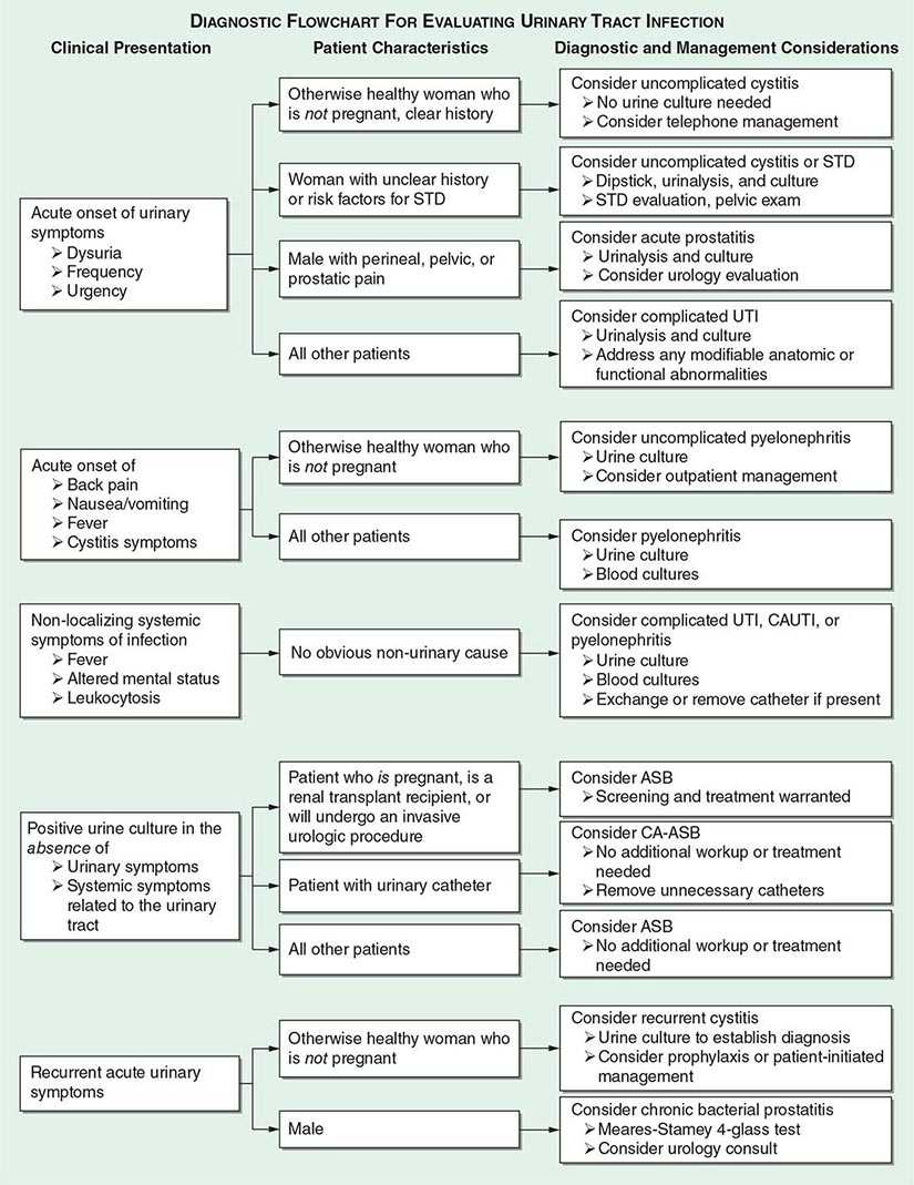 Urinary Tract Infections, Pyelonephritis, and Prostatitis