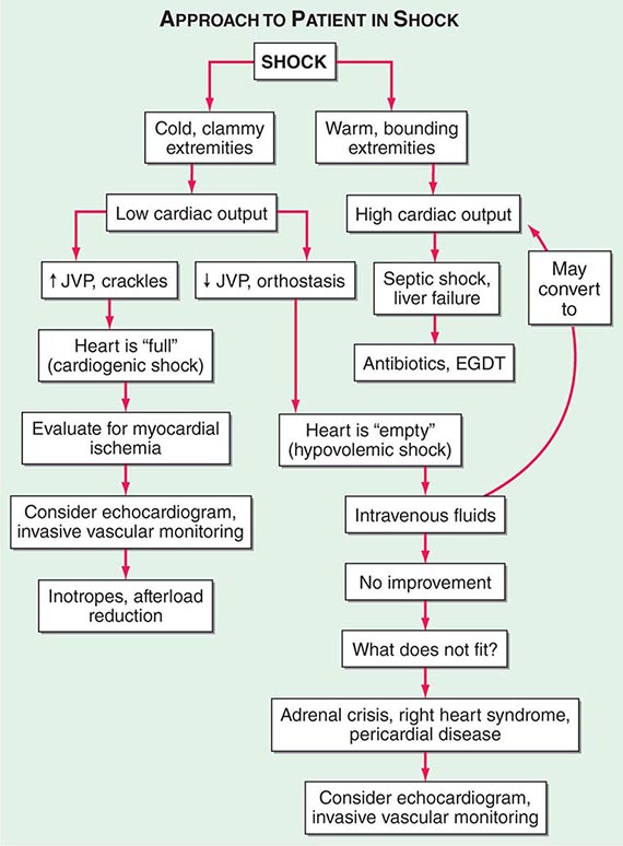 Severe Sepsis and Septic Shock Basicmedical Key