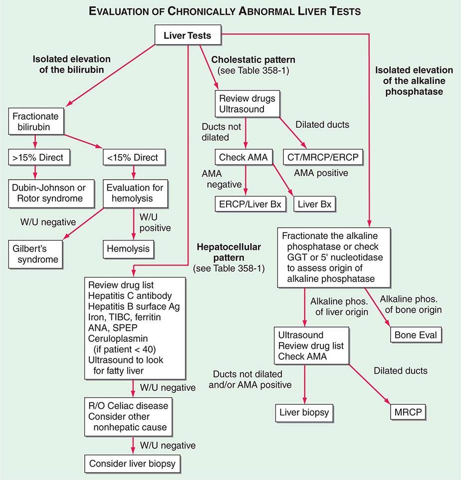 Approach to the Patient with Liver Disease Basicmedical Key