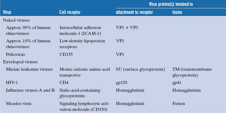Attachment and Entry of Viruses into Cells Basicmedical Key