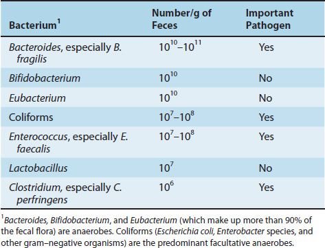 Normal Flora Function Normal Flora | Basicmedical Key