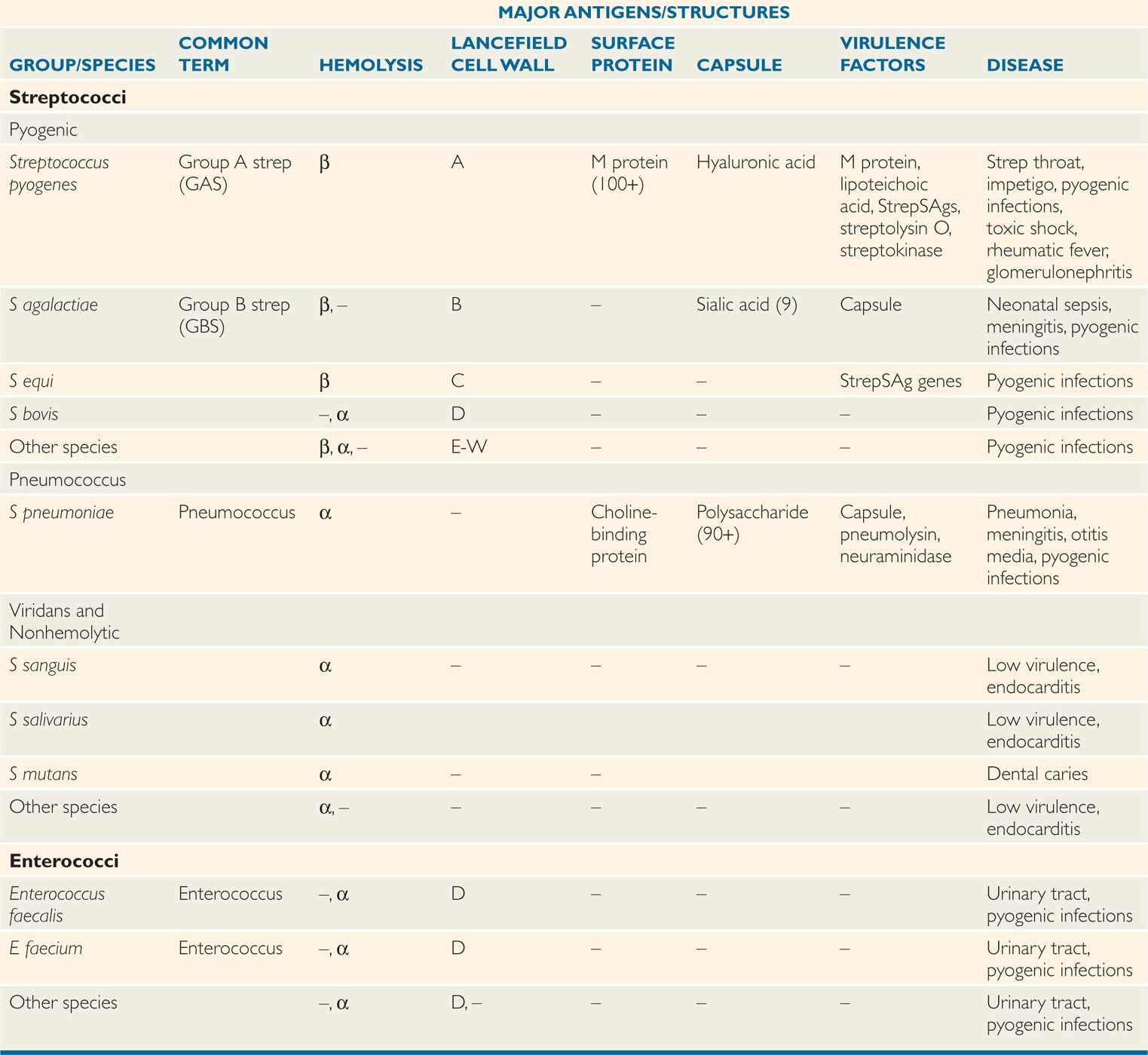 25 Streptococci and Enterococci Basicmedical Key