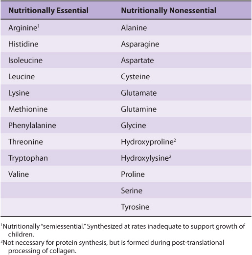 Biosynthesis of the Nutritionally Nonessential Amino Acids