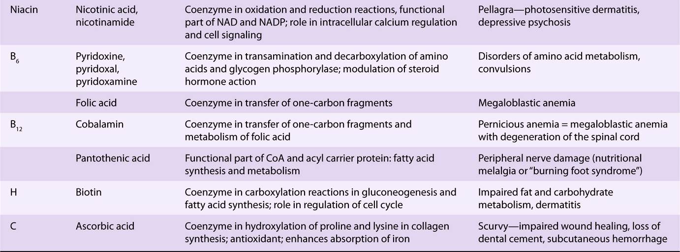 Micronutrients Vitamins & Minerals Basicmedical Key