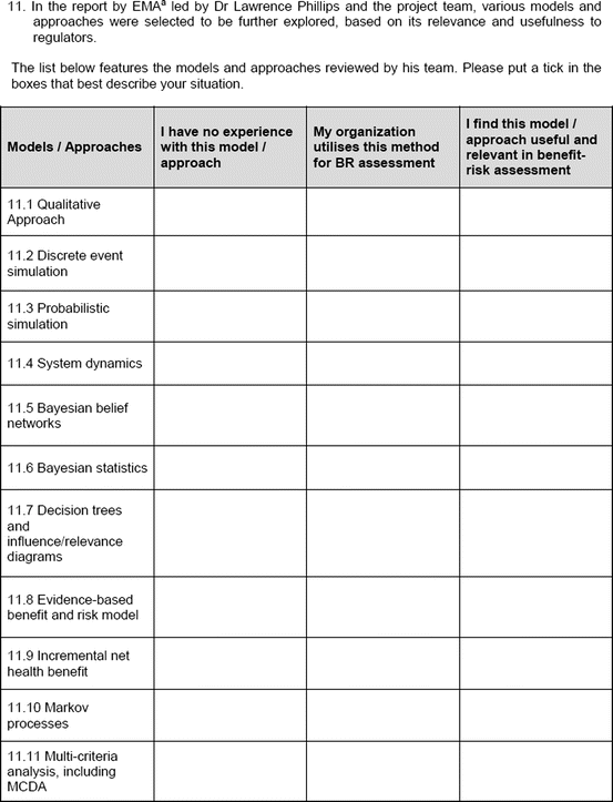 Medication Risk Assessment Template