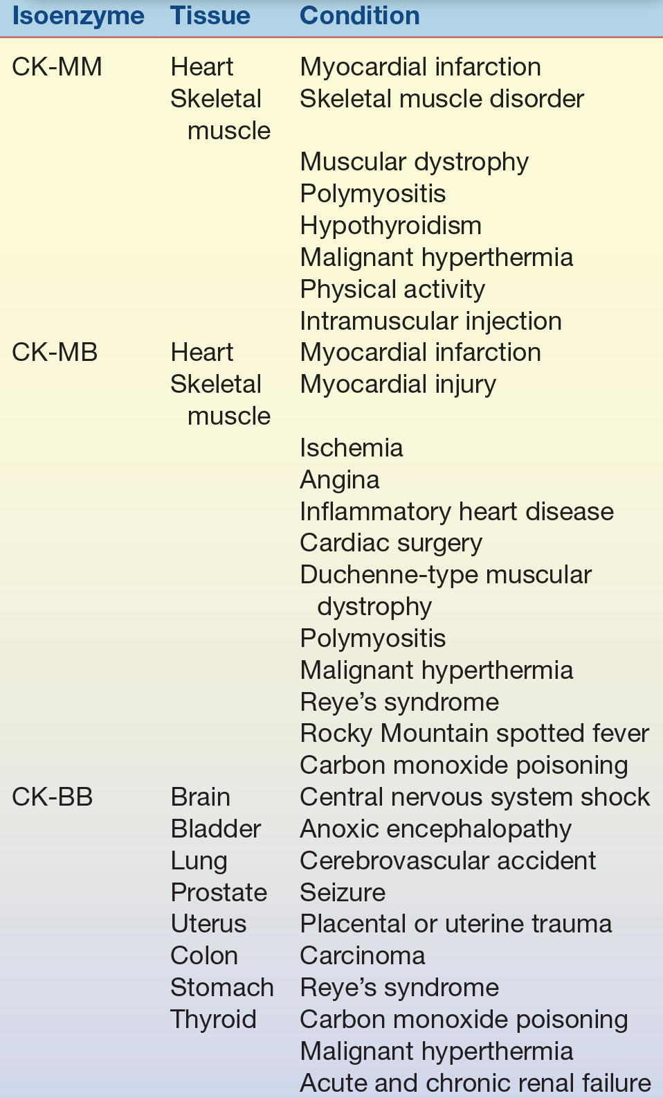 Enzymes Basicmedical Key