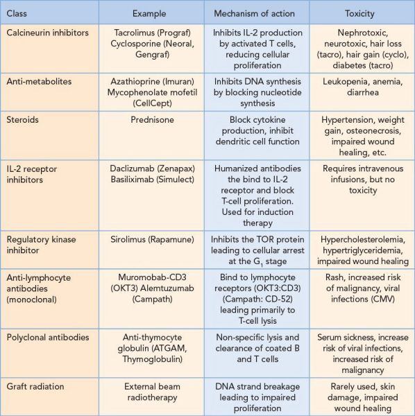Transplantation Basicmedical Key