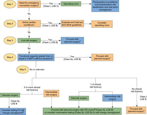 Anesthesia | Basicmedical Key