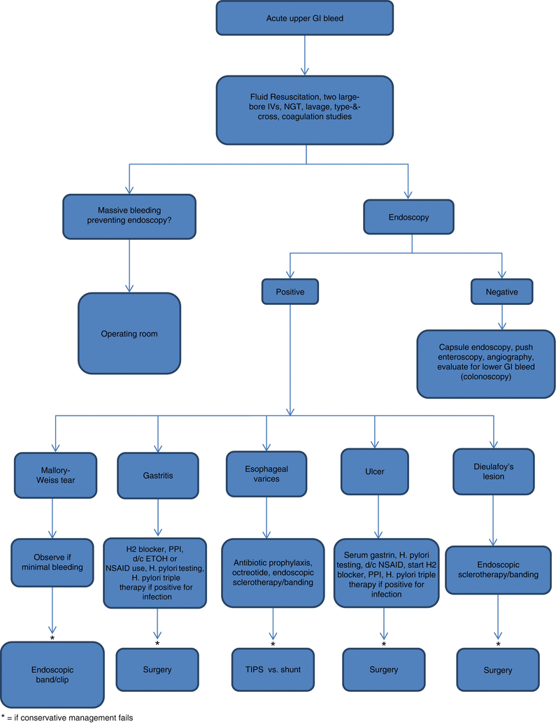 Bloody Emesis | Basicmedical Key