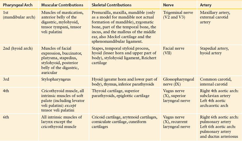 Pediatric Head And Neck Basicmedical Key